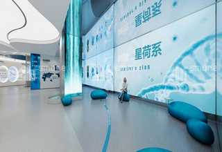 辽宁环形弹簧销售厂家