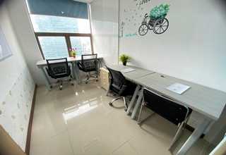 上海美国花旗松作用