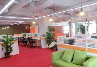 益阳低盐猫粮零食营养品单价